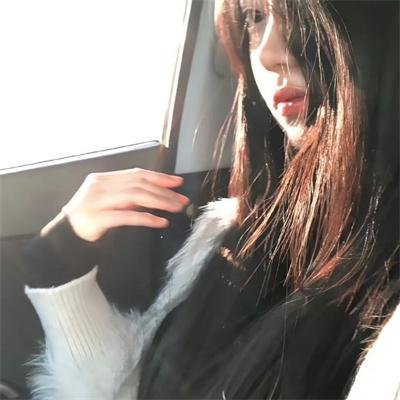 安妮日记：始末
